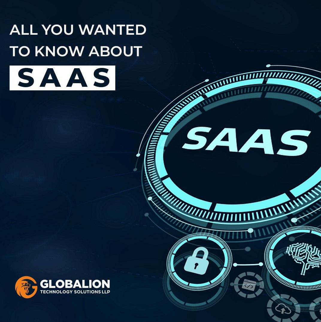 All You Wanted to Know About SaaS